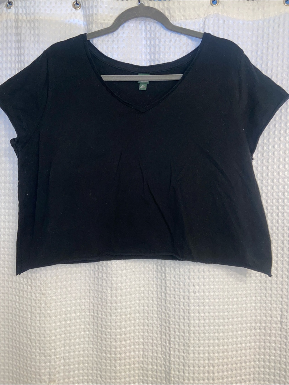 wild fable Black V-Neck Cropped Tee